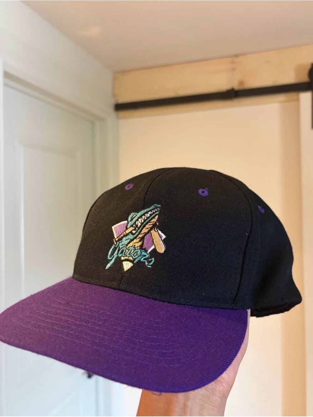 Black & Purple Vintage Gators Baseball Cap